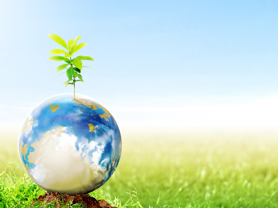 Celebrate Earth Day with These Planet-friendly Habits