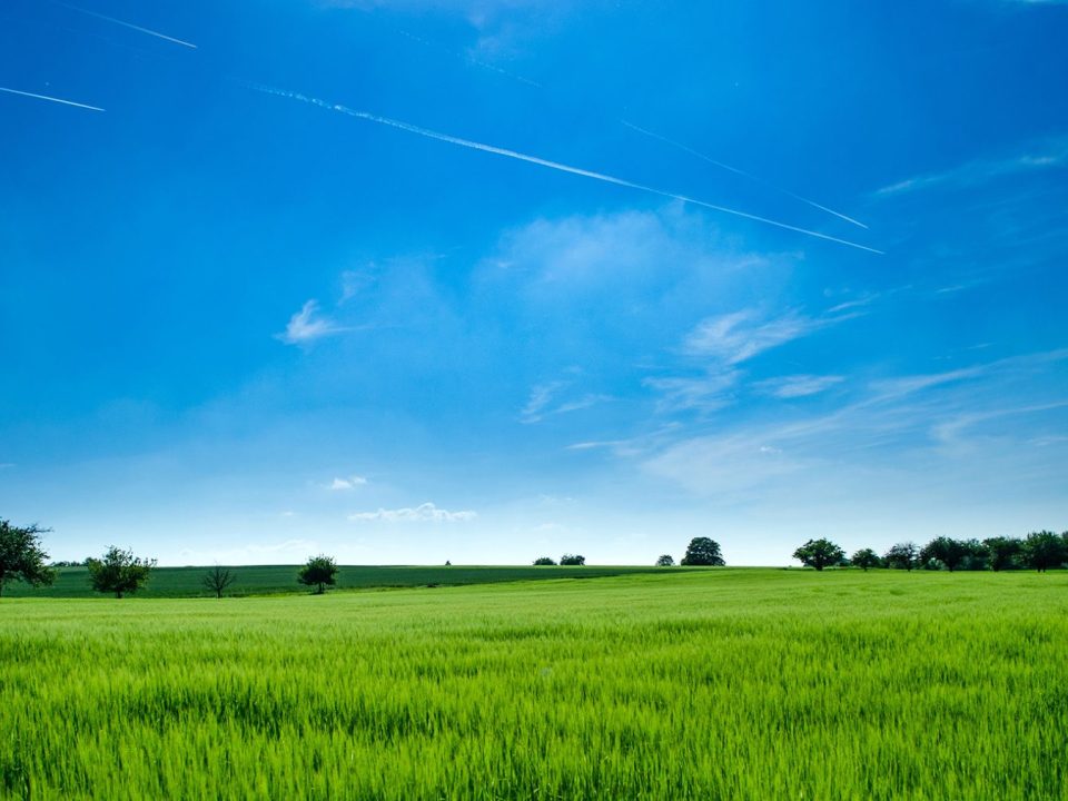 An Overview of Near-Zero Emission Technologies