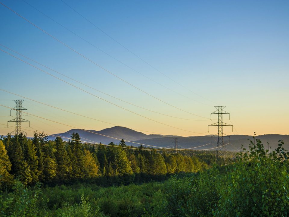 Grid Ancillary Services