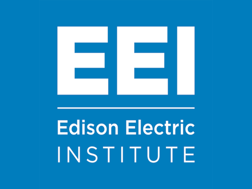 What is the EEI?